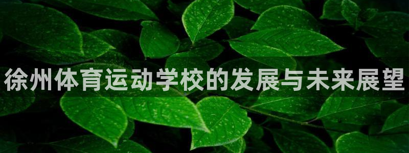 J9官网下载联系电话：徐州体育运动学校的发展与未来展