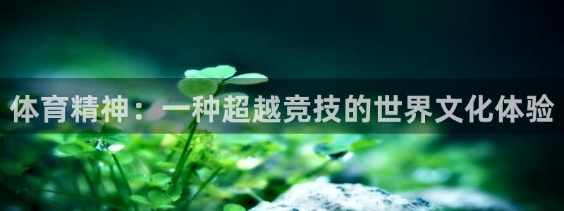 J9官网下载是干嘛的公司：体育精神：一种超越竞技的世