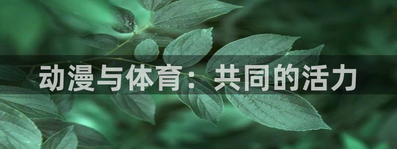 J9官网下载平台是正规平台吗安全吗：动漫与体育：共同
