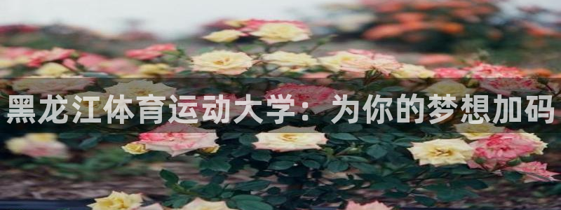 J9官网下载招商电话号码是多少啊：黑龙江体育运动大学