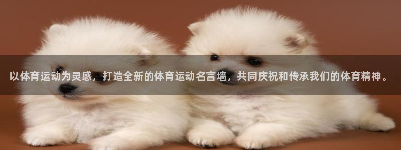 J9官方正版app集团官网首页网址：以体育运动为灵感