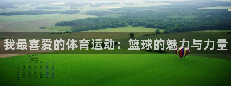 J9官方正版app娱乐首页网站大全：我最喜爱的体育运动：篮球