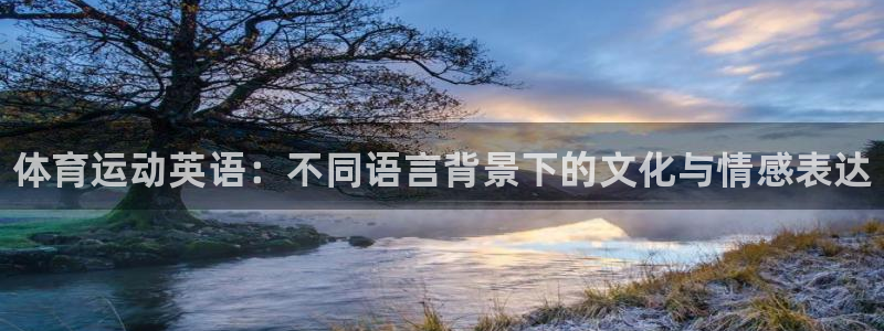 J9官网下载平台注册要钱吗：体育运动英语：不同语言背