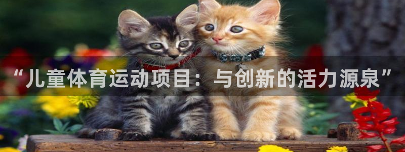 J9官网下载是干嘛的公司：“儿童体育运动项目：与创新