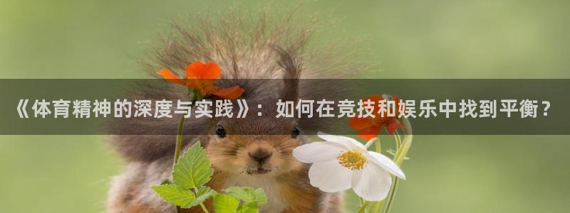 J9官网下载平台假的吗是真的吗吗：《体育精神的深度与实践》：