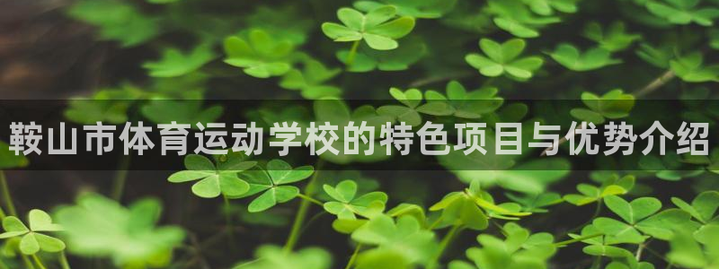 J9官方正版app娱乐平台