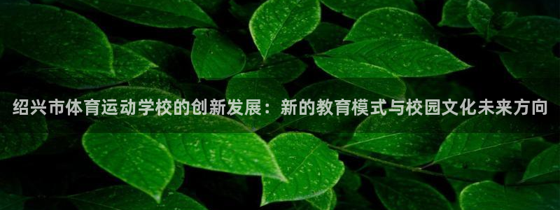 J9官方正版app娱乐首页网站大全：绍兴市体育运动学