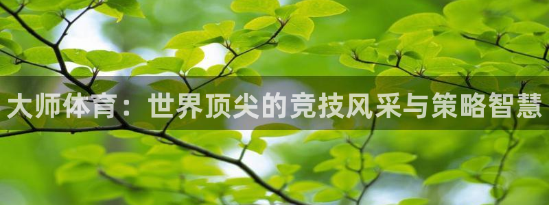 J9官网下载招商电话地址查询：大师体育：世界顶尖的竞