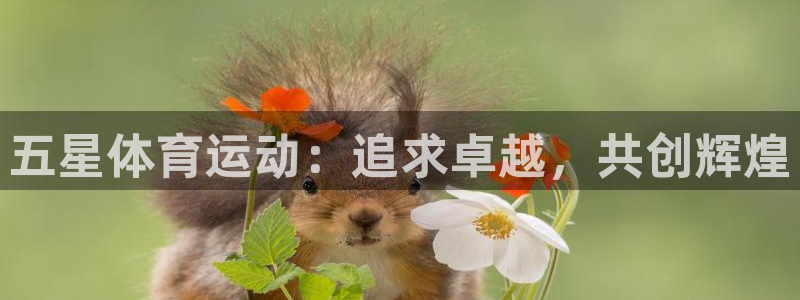 J9官方正版app集团官网网址