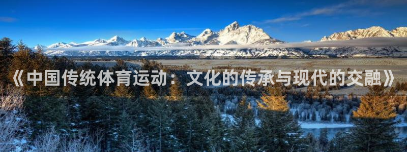 J9官方正版app集团官网网址