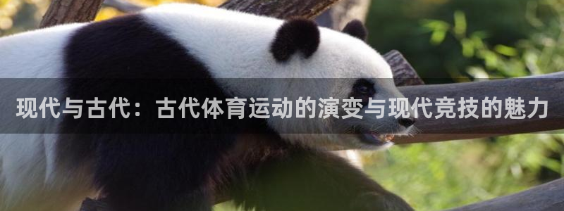 J9官方正版app官网：现代与古代：古代体育运动的演