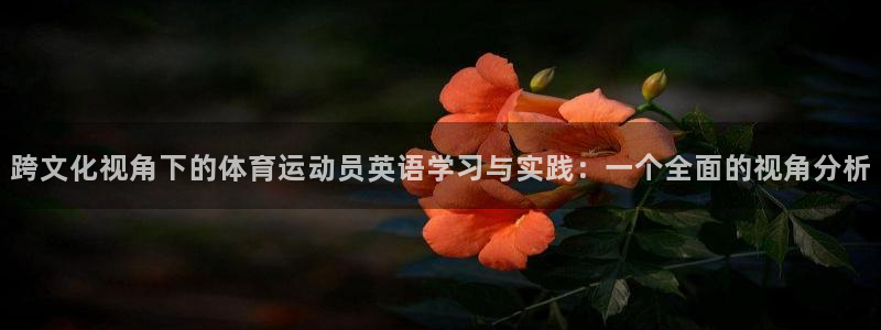 J9官方正版app神州：跨文化视角下的体育运动员英语