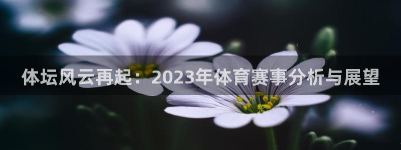 J9官网下载招商：体坛风云再起：2023年体育赛事分