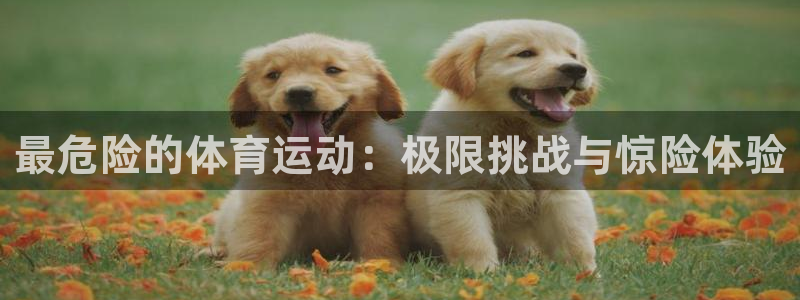 J9官网下载招商电话是多少啊