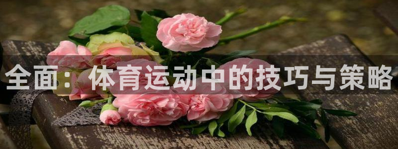 J9官网下载招商电话地址查询：全面：体育运动中的技巧与策略