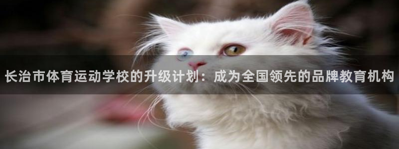 J9官网下载平台是正规平台吗安全吗