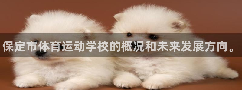 注册J9官方正版app：保定市体育运动学校的概况和未