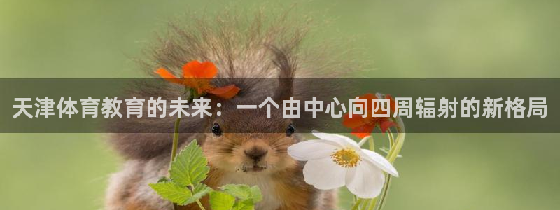 J9官网下载平台是正规平台吗安全吗：天津体育教育的未