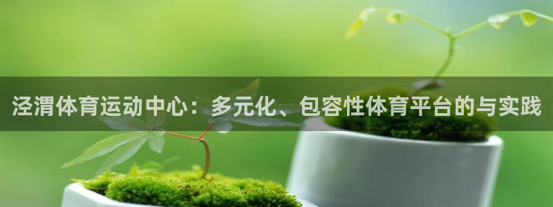 J9官网下载平台注册要钱吗：泾渭体育运动中心：多元化、包容性