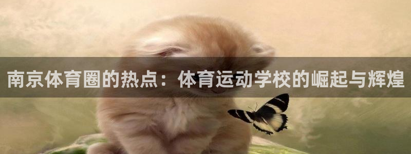 J9官网下载平台：南京体育圈的热点：体育运动学校的崛起与辉煌