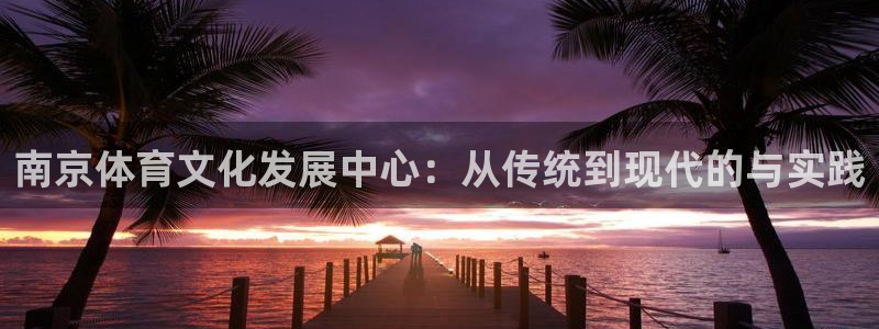 J9官网下载是干嘛的公司：南京体育文化发展中心：从传