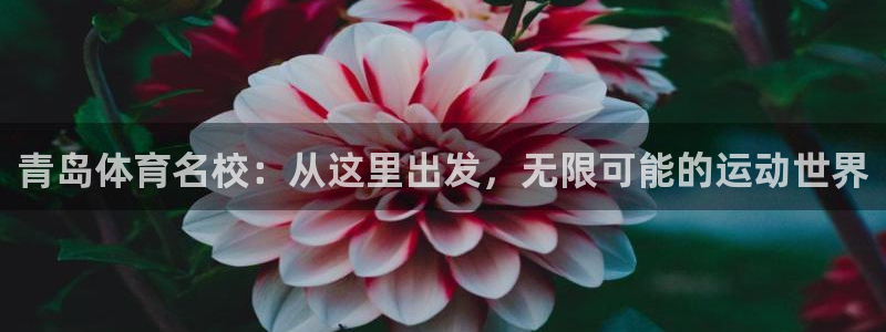 德国J9官方正版app集团：青岛体育名校：从这里出发，无限可