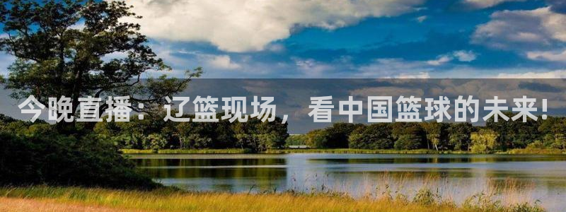 鲸鱼体育直播下载最新版：今晚直播：辽篮现场，看中国篮球的未来!
