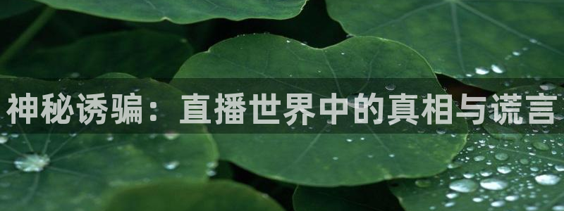 鲸鱼体育在线：神秘诱骗：直播世界中的真相与谎言